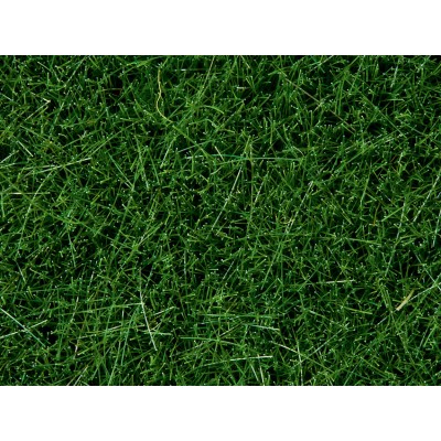 Noch 07094 Dark Green Wild Grass 6mm (100g)