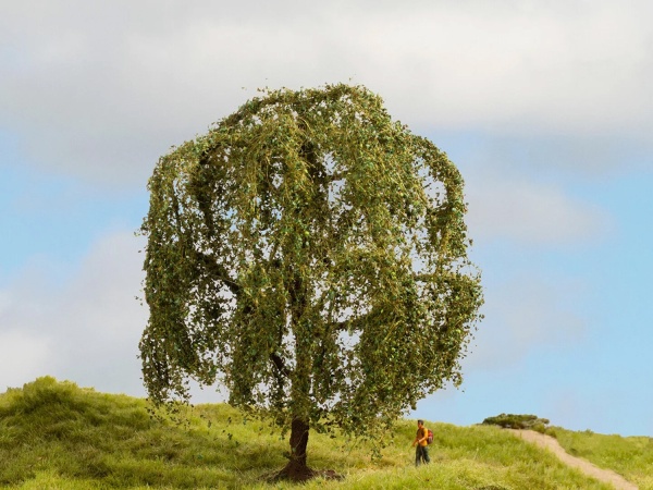 Weeping Willow master Tree 15cm