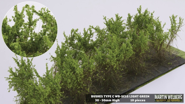 Bushes type C light green