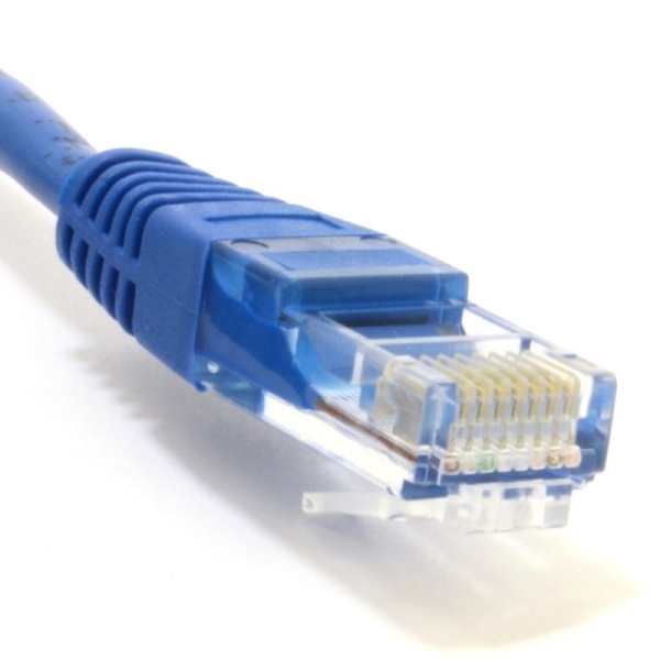 Blue patch cable 50cm