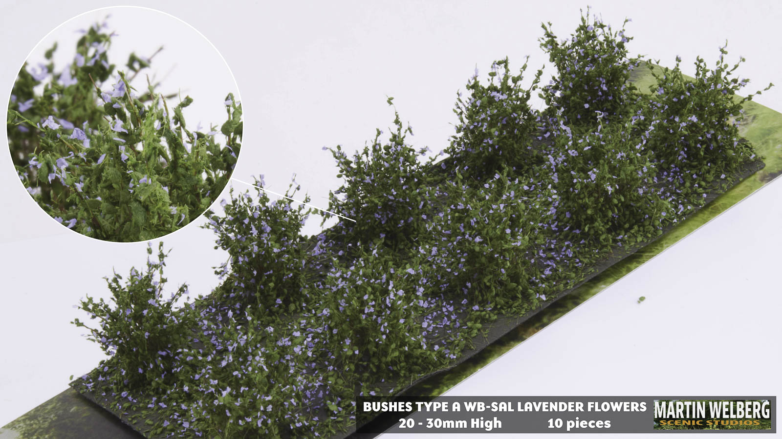 Bushes type A Lavender