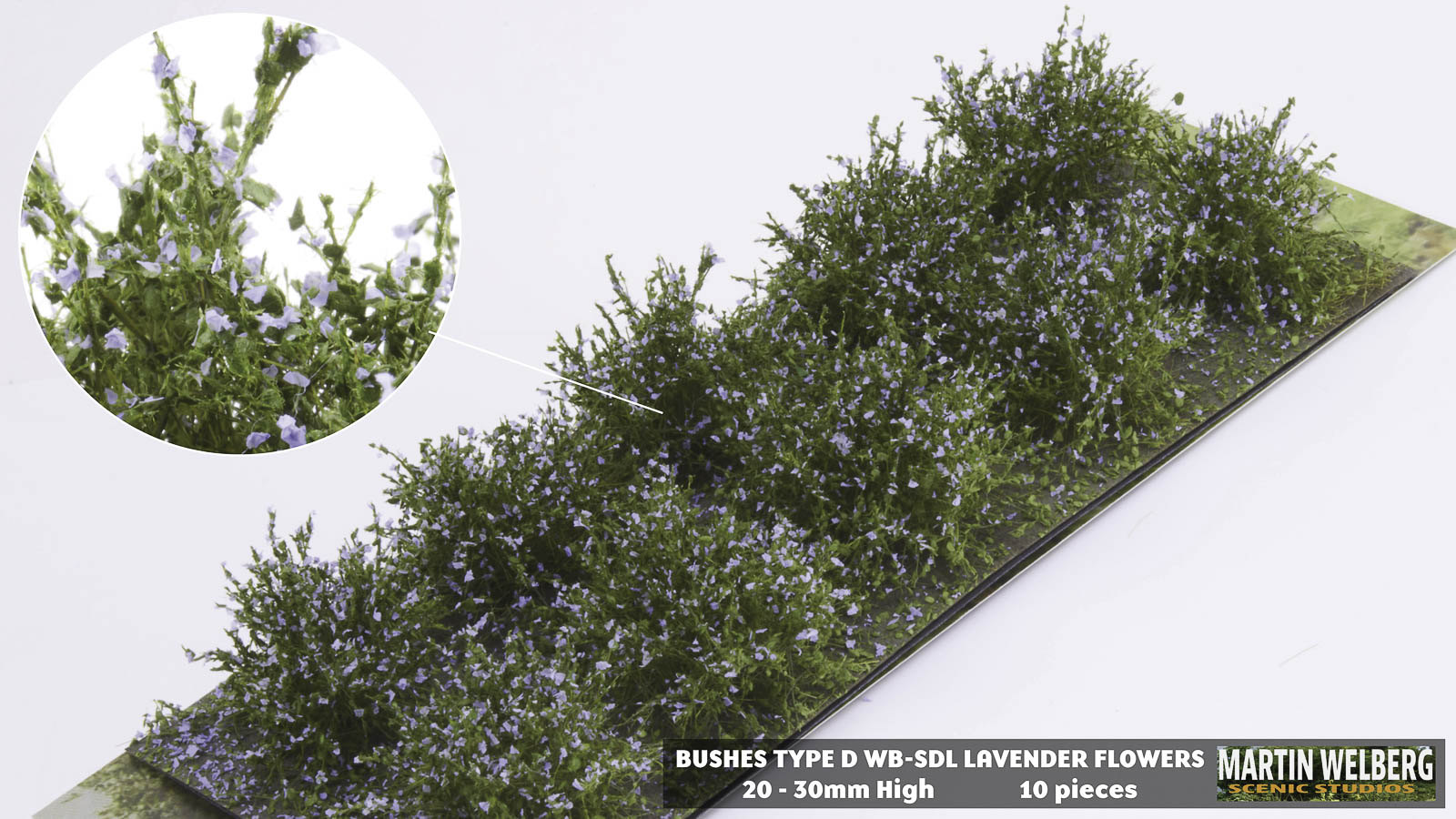 Bushes type D Lavender